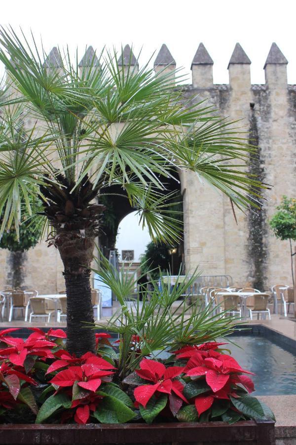 Loft Turistico En Casco Historico, Wifi Y Tv Satelite Gratis Apartment Кордоба Екстериор снимка